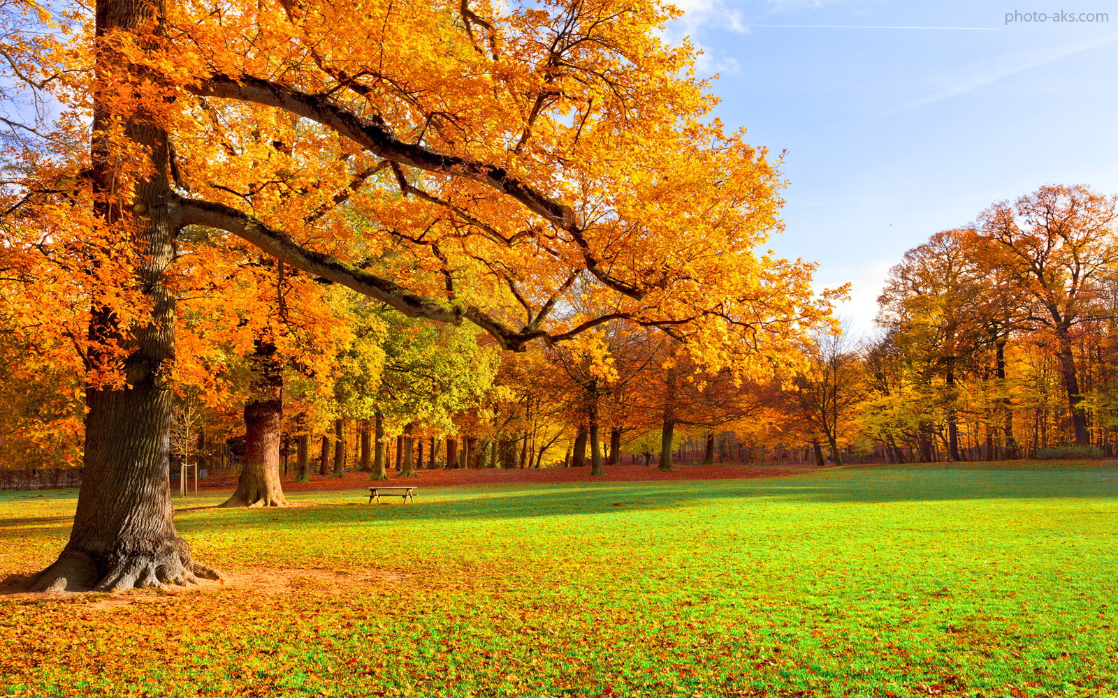 park-autumn-scenery